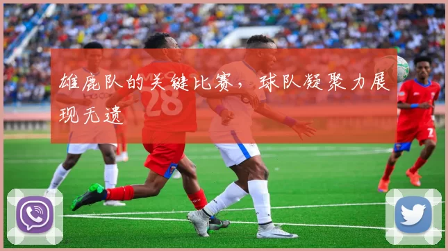 雄鹿队的关键比赛，球队凝聚力展现无遗