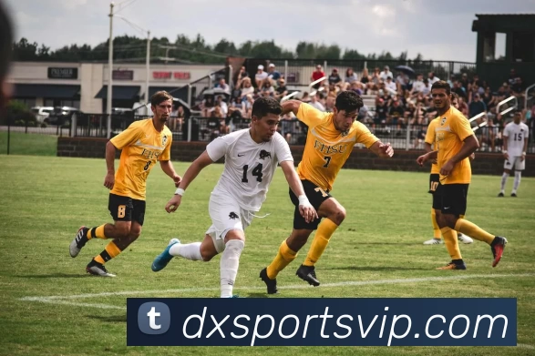 大象体育VIP品牌故事