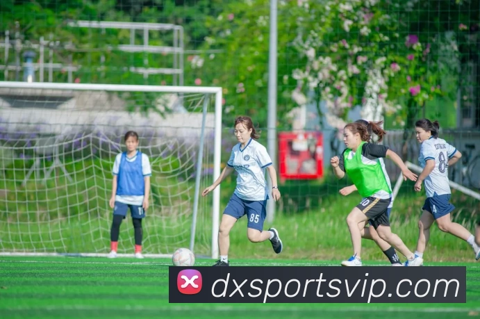 大象体育VIP服务体系